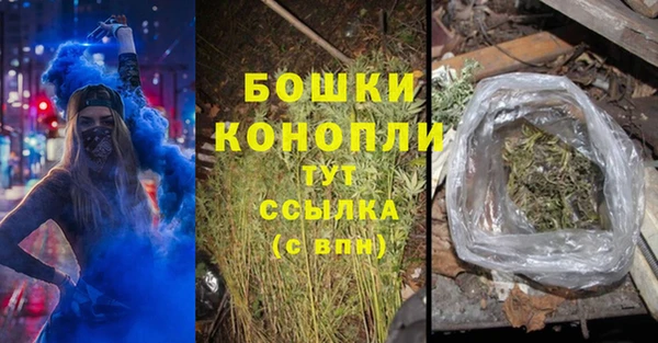 PSILOCYBIN Алзамай