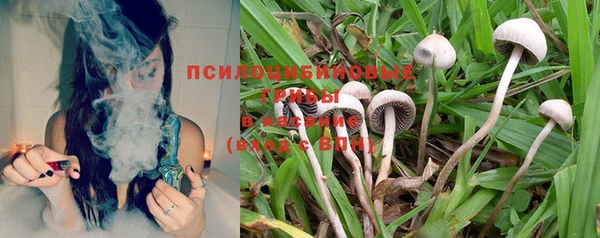 PSILOCYBIN Алзамай