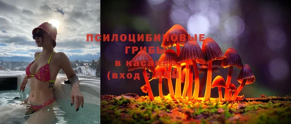 PSILOCYBIN Алзамай