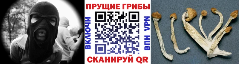 Псилоцибиновые грибы прущие грибы blacksprut зеркало Артём